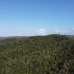 listing image thumbnail with ID 67774