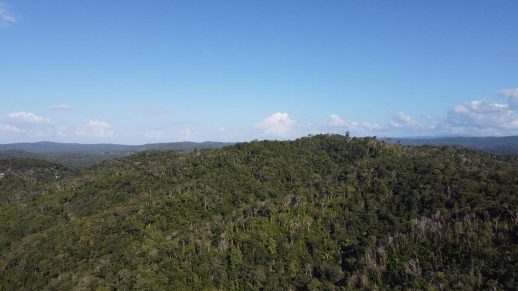 listing image with ID 67774