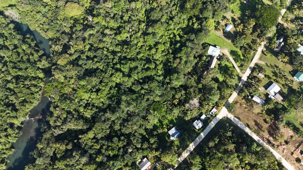 listing image with ID 64590