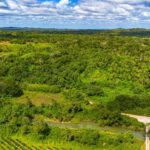 listing image thumbnail with ID 69117