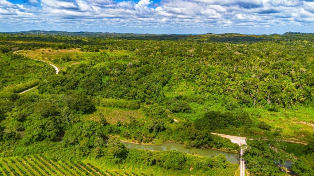 listing image with ID 69117