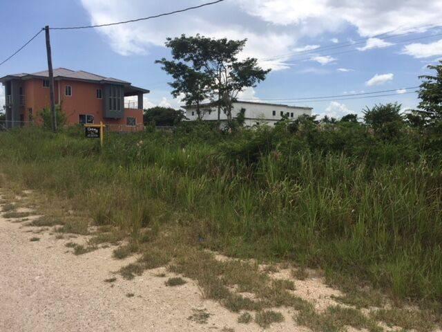 listing image with ID 65009