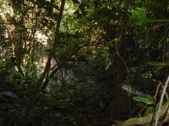 listing image with ID 64073