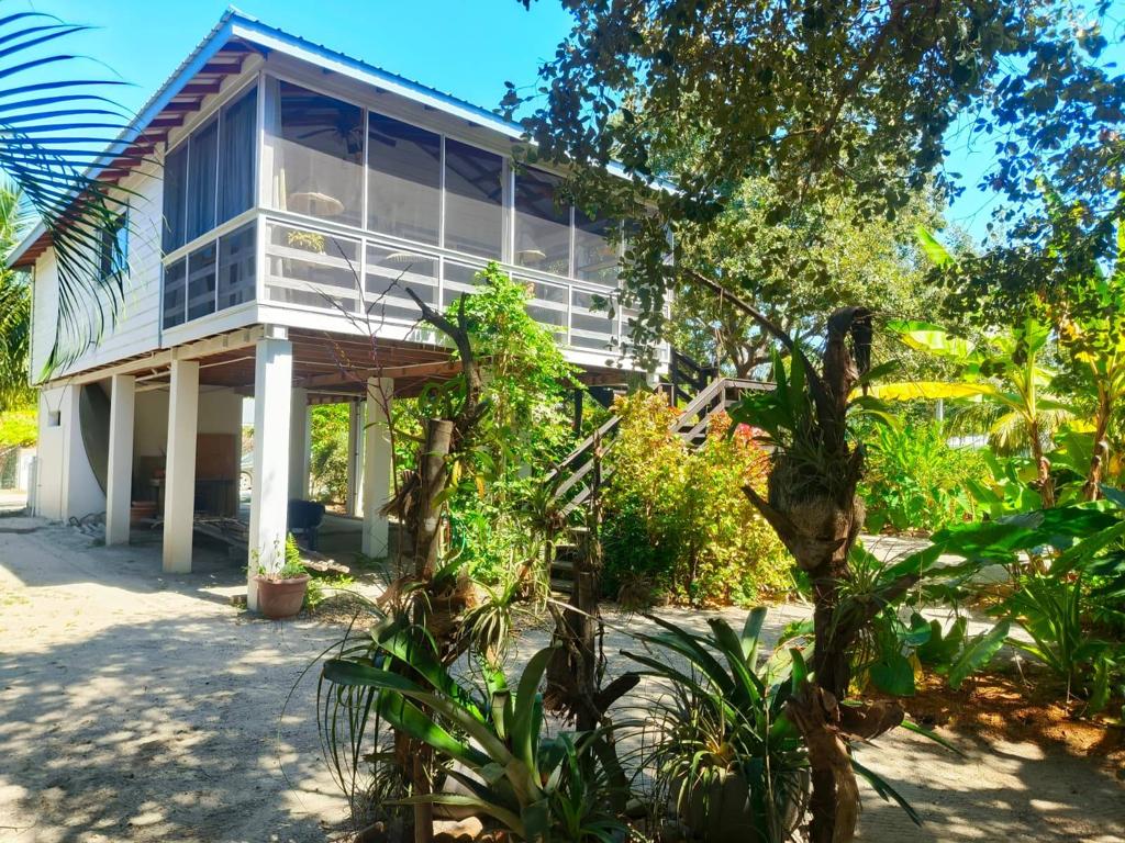 listing image with ID 70039