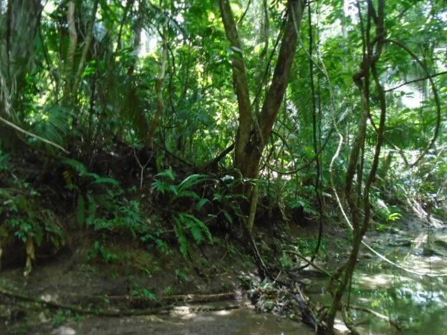 listing image with ID 70089