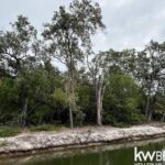 listing image thumbnail with ID 69545