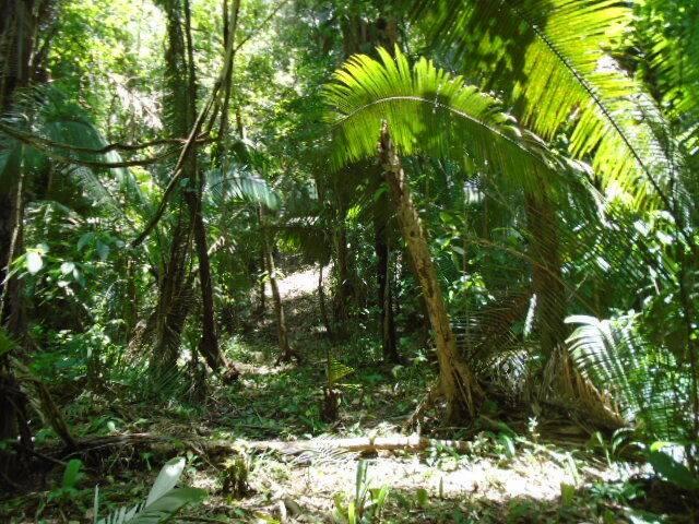 listing image with ID 70098