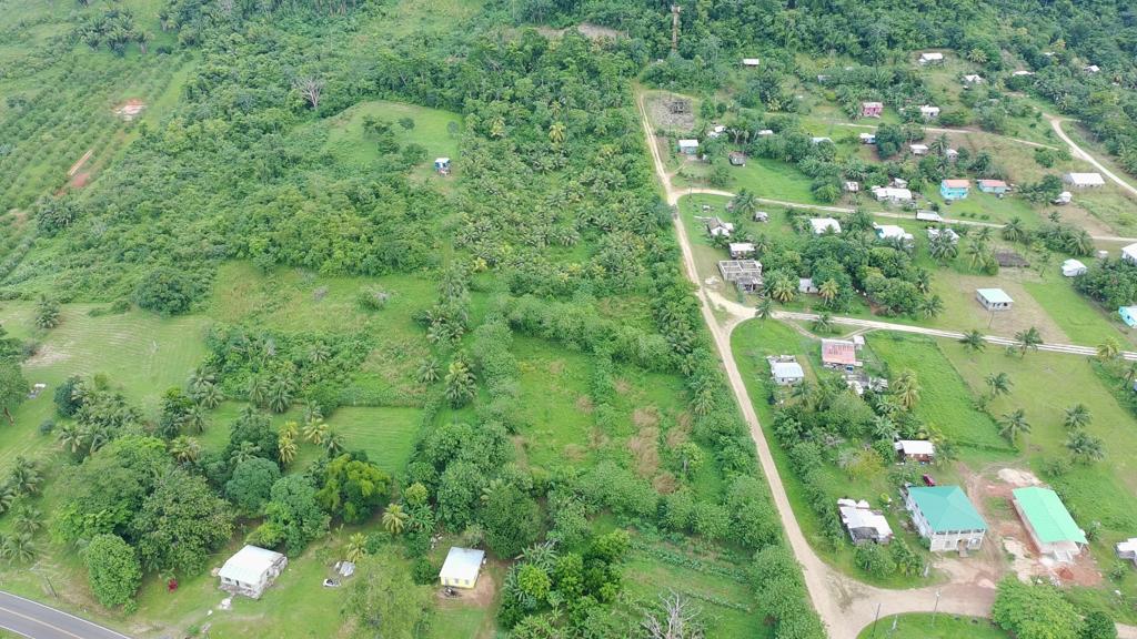 listing image with ID 69944