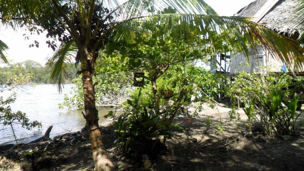 listing image with ID 70072