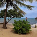 listing image thumbnail with ID 70265