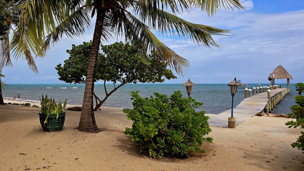 listing image with ID 70265