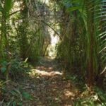 listing image thumbnail with ID 70165