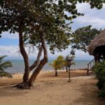 listing image thumbnail with ID 70266