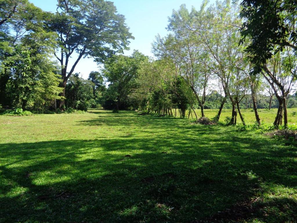 listing image with ID 70292