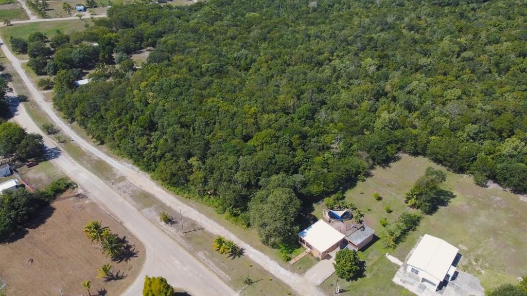 listing image with ID 70382