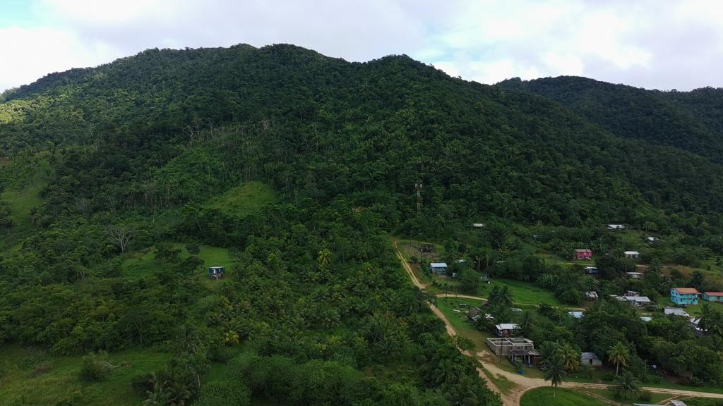 listing image with ID 69941