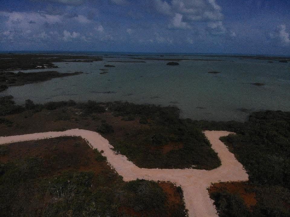 listing image with ID 69738