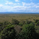 listing image thumbnail with ID 70615