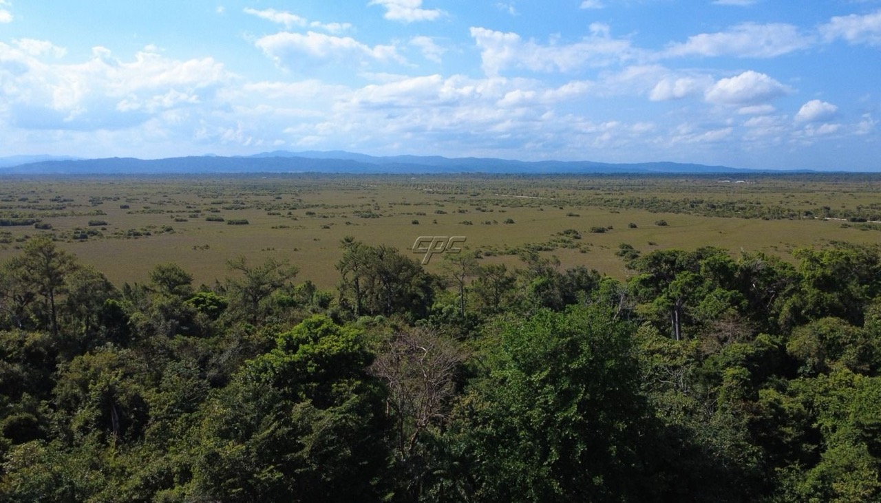 listing image with ID 70615