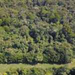 listing image thumbnail with ID 70618