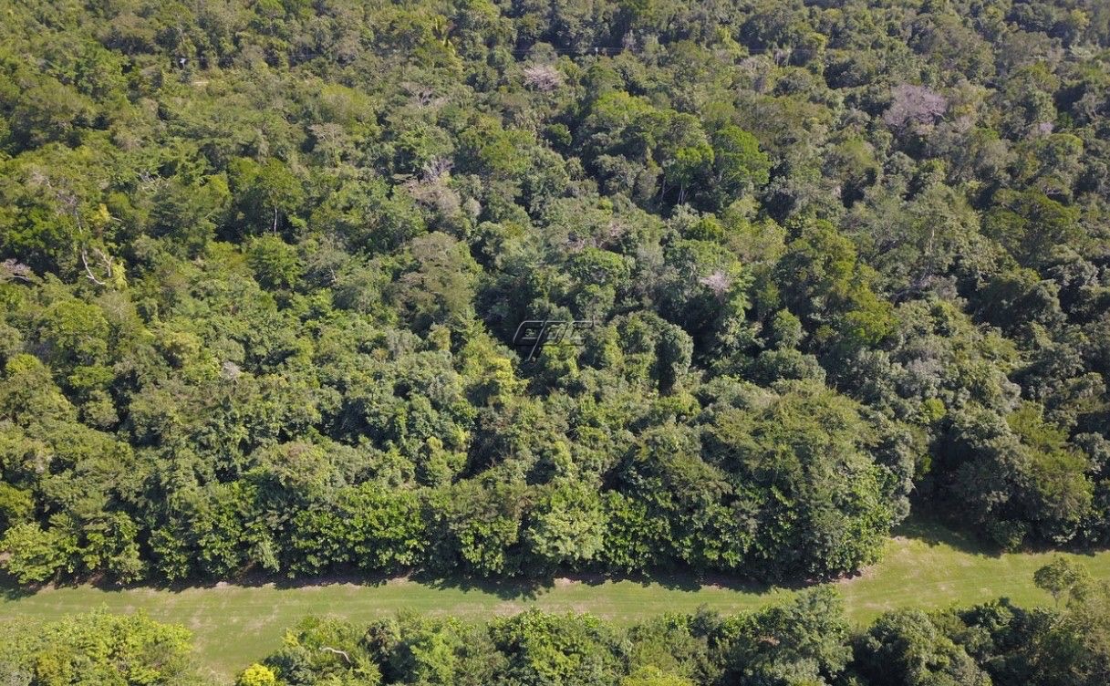 listing image with ID 70618