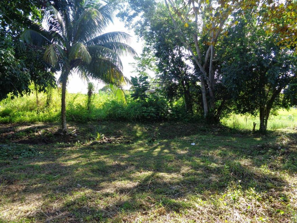 listing image with ID 70202