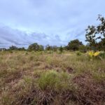 listing image thumbnail with ID 70924