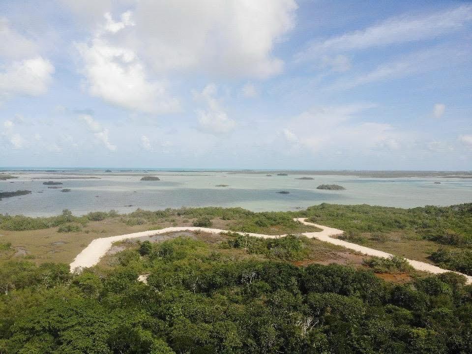 listing image with ID 69733