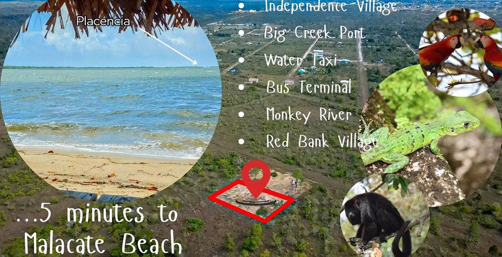 listing image with ID 69509