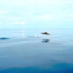 listing image thumbnail with ID 70998