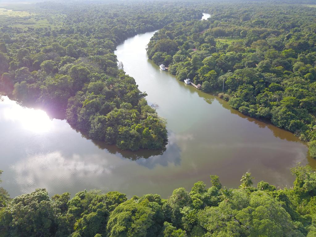 listing image with ID 70919