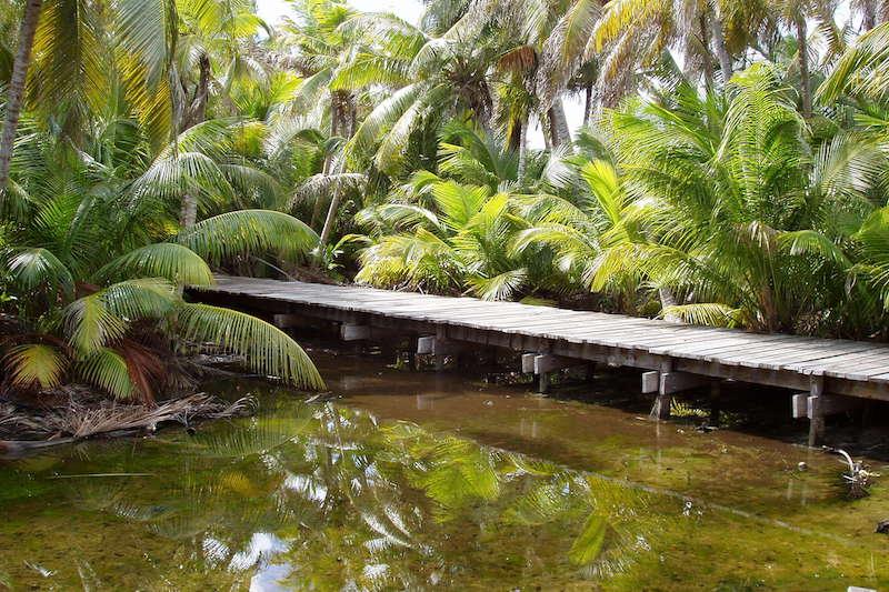 listing image with ID 71002