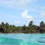 listing image thumbnail with ID 71001