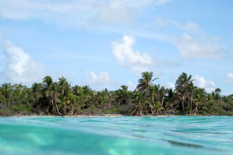 listing image with ID 71001