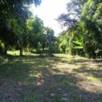 listing image thumbnail with ID 70207