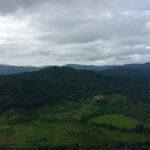 listing image thumbnail with ID 69942