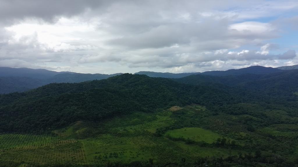 listing image with ID 69942