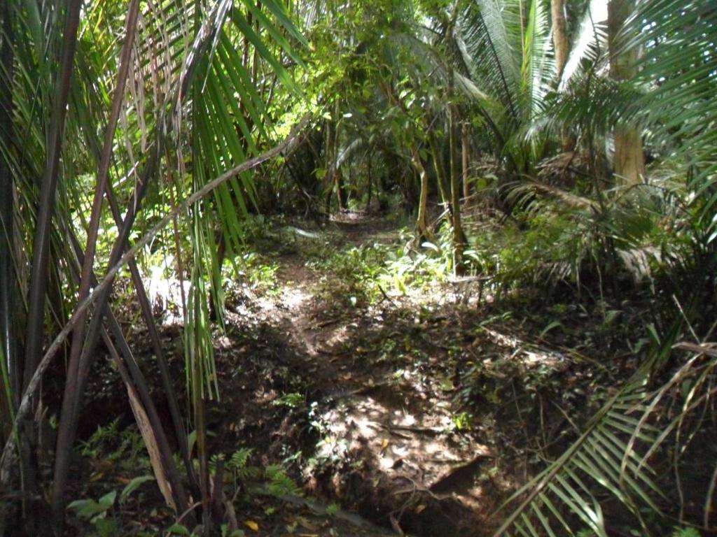 listing image with ID 70133