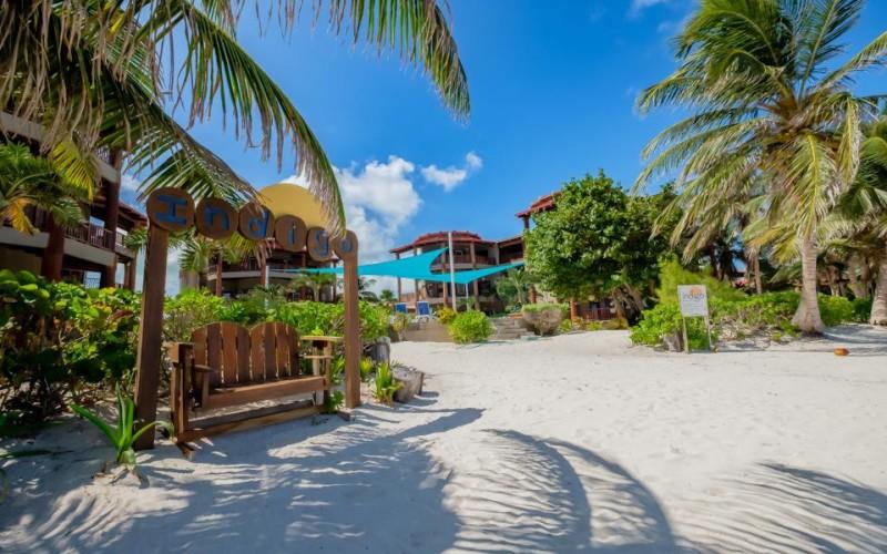 listing image with ID 70505