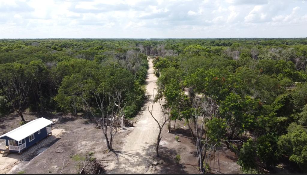 listing image with ID 69757