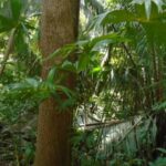 listing image thumbnail with ID 70099