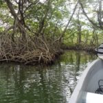 listing image thumbnail with ID 70053