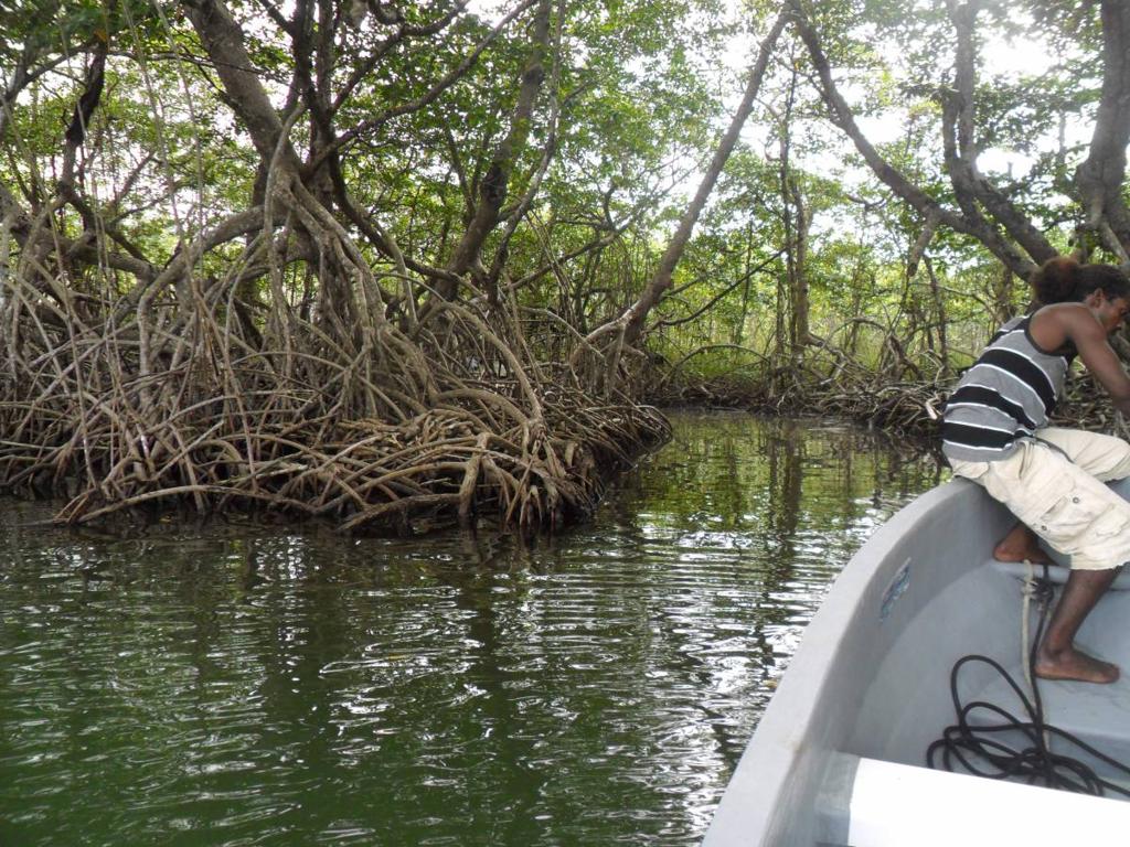 listing image with ID 70053