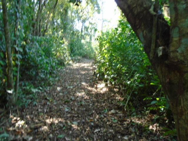 listing image with ID 70148