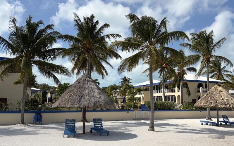 listing image with ID 70456