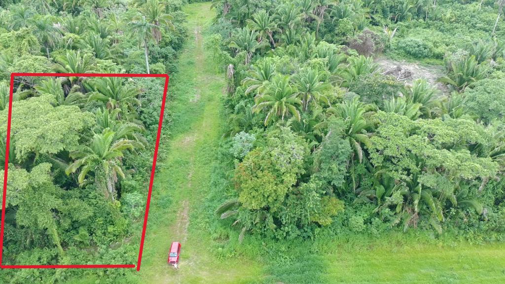 listing image with ID 69776