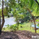 listing image thumbnail with ID 70670