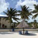 listing image thumbnail with ID 70455