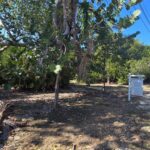 listing image thumbnail with ID 69783