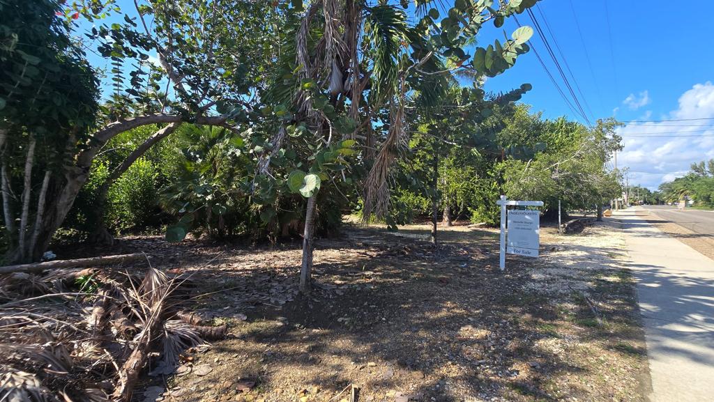 listing image with ID 69783